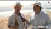 Sauvignon Blanc by the Sea, Cosechas 2012 – Cedirc Nicolle