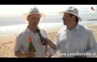 Sauvignon Blanc by the Sea, Cosechas 2012 – Cedirc Nicolle