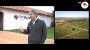 Enoturismo Viu Manent