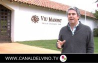 Malbec  de la Viña Viu Manent