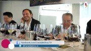 Desafío Queulat 2014