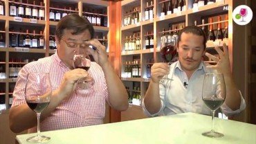 Entretenida Cata en el Programa “Vino a Seducir” hoy: Tarde de Syrah, Amayna y Koyle