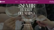 Valle del Maipo, Capital mundial del Vino